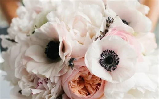 探索绝美之城的迷人风光与动人故事