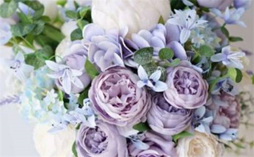 动物性本能2深度揭秘欲望与心理的复杂交织