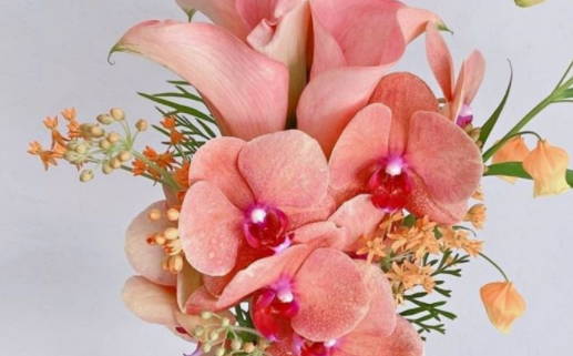 电影《和阿姨同居的日子》_电影《和阿姨同居的日子》